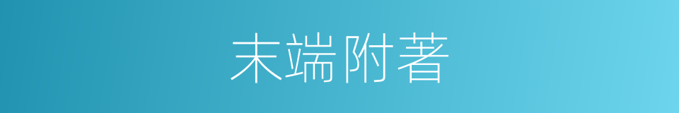 末端附著的同義詞