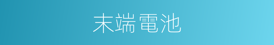 末端電池的同義詞