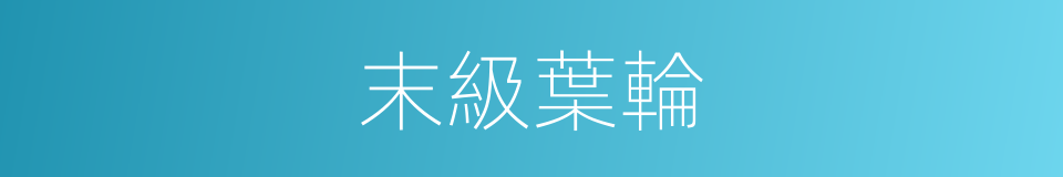 末級葉輪的同義詞
