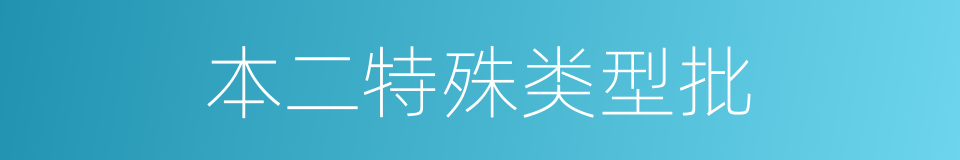 本二特殊类型批的同义词