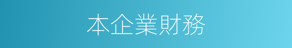 本企業財務的同義詞