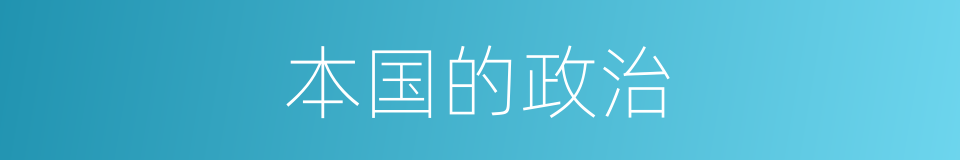 本国的政治的同义词