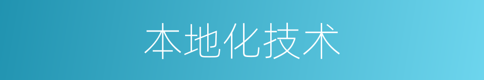 本地化技术的同义词