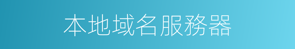 本地域名服務器的同義詞