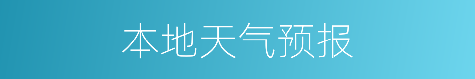 本地天气预报的同义词