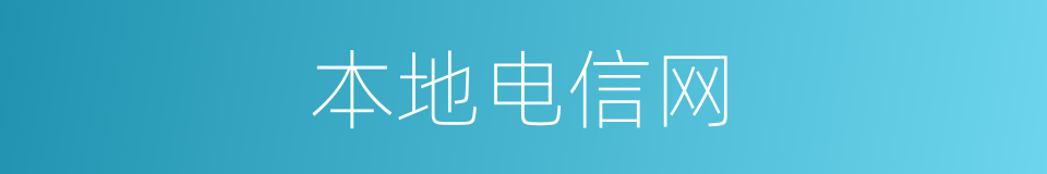 本地电信网的同义词