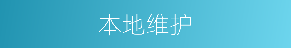 本地维护的同义词