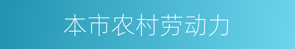 本市农村劳动力的同义词