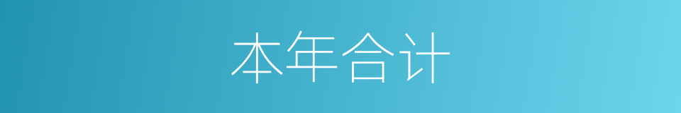 本年合计的同义词