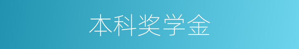 本科奖学金的同义词