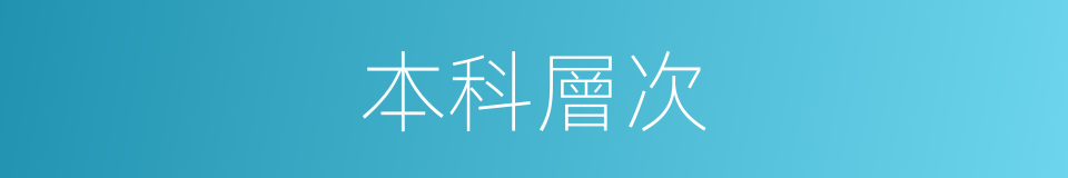 本科層次的同義詞