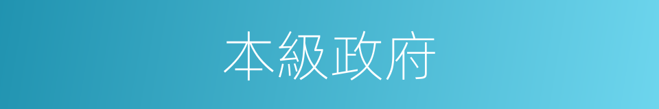 本級政府的同義詞