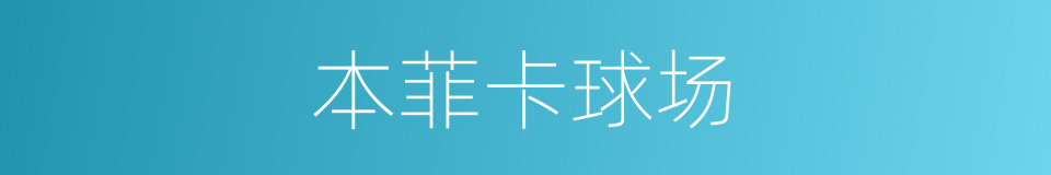 本菲卡球场的同义词