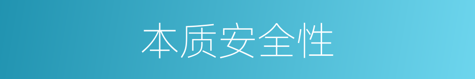 本质安全性的同义词