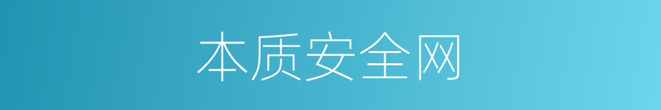 本质安全网的同义词