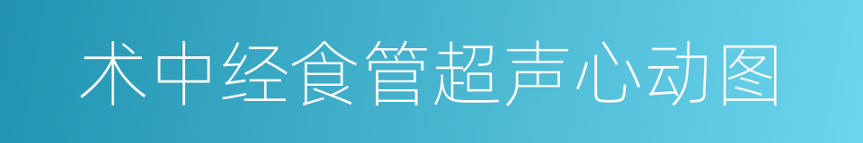 术中经食管超声心动图的同义词