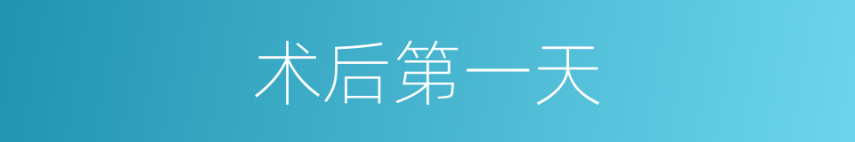 术后第一天的同义词