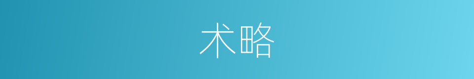 术略的意思