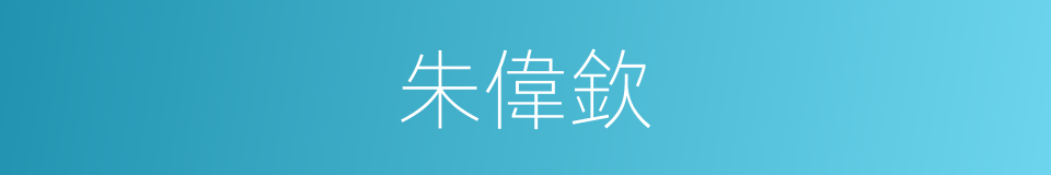 朱偉欽的同義詞