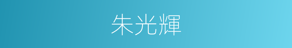 朱光輝的同義詞