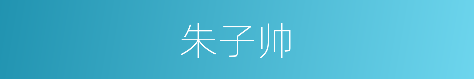 朱子帅的同义词