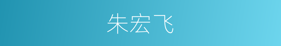 朱宏飞的同义词