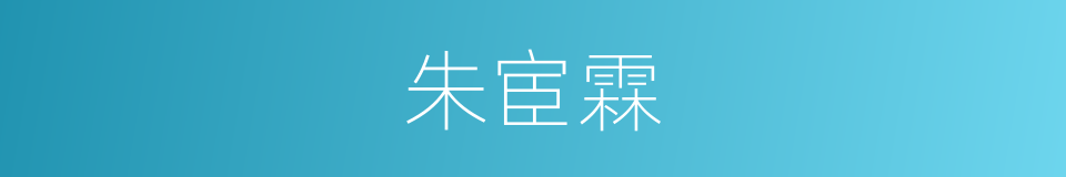 朱宦霖的同义词