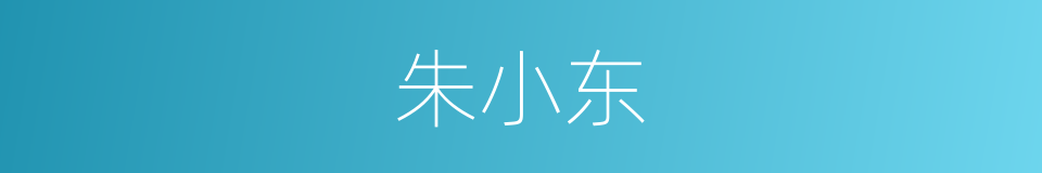 朱小东的同义词