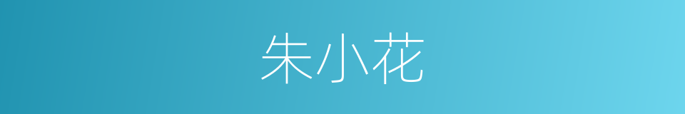 朱小花的同义词