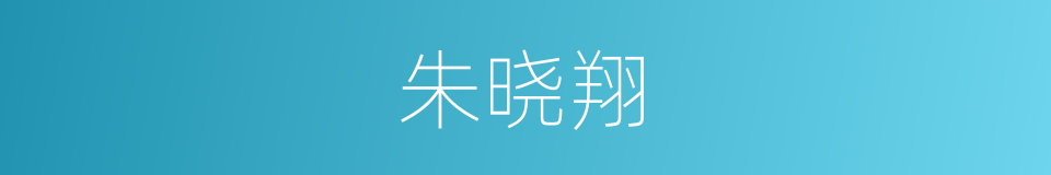 朱晓翔的同义词