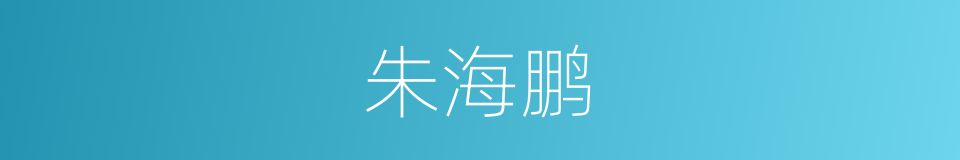 朱海鹏的同义词