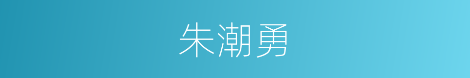 朱潮勇的同义词