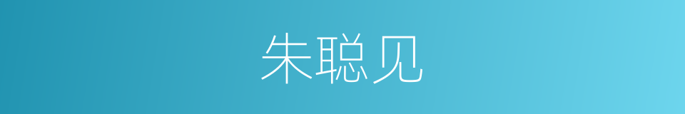 朱聪见的同义词