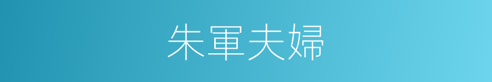 朱軍夫婦的同義詞