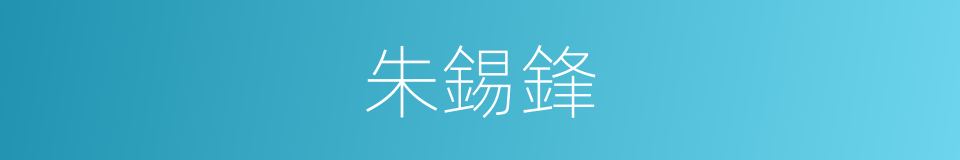 朱錫鋒的同義詞