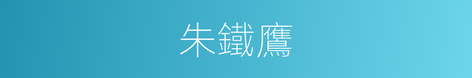 朱鐵鷹的同義詞