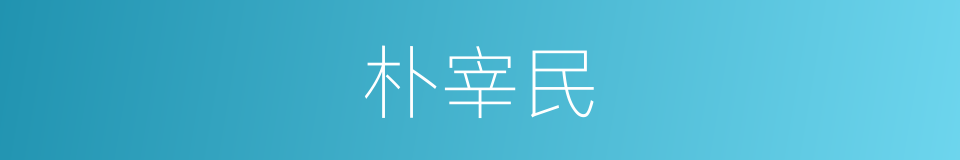 朴宰民的同义词