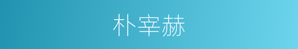 朴宰赫的同义词