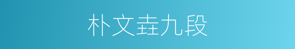 朴文垚九段的同义词