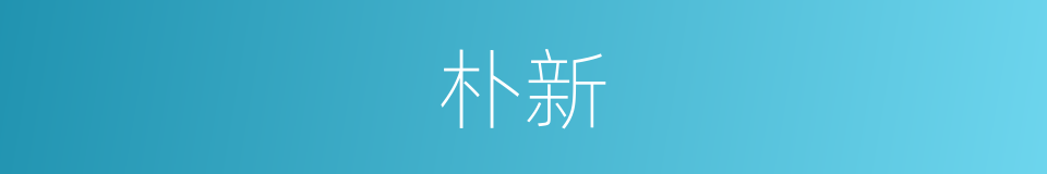 朴新的同义词