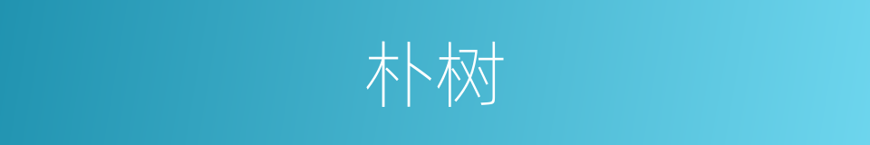 朴树的意思