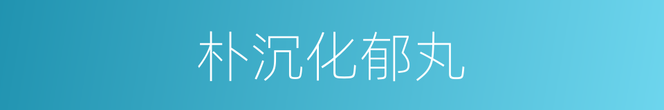朴沉化郁丸的同义词