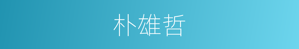 朴雄哲的同义词