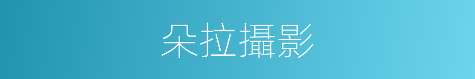 朵拉攝影的同義詞