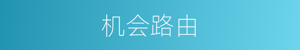 机会路由的同义词
