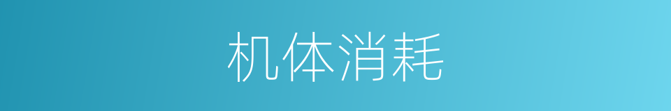 机体消耗的同义词