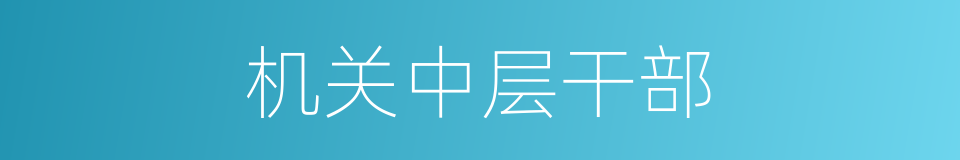 机关中层干部的同义词