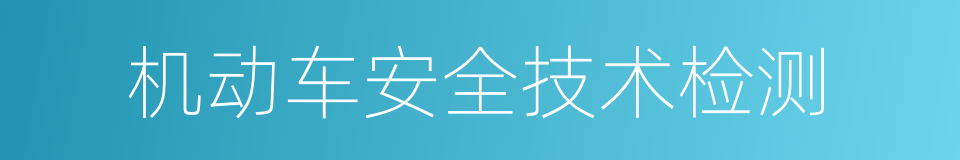 机动车安全技术检测的同义词