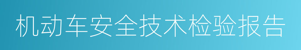 机动车安全技术检验报告的同义词