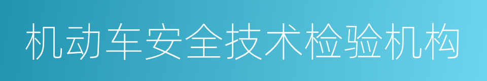 机动车安全技术检验机构的同义词